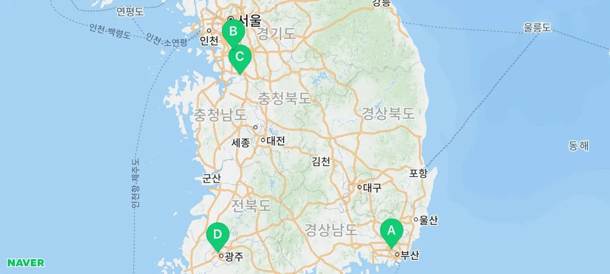 부산 고양이 분양, 도그마루 입양 절차 2026년 총정리