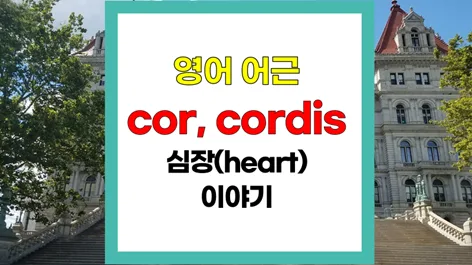 영어 단어 'record'에 'heart'가 담긴 이유 2026년 총정리