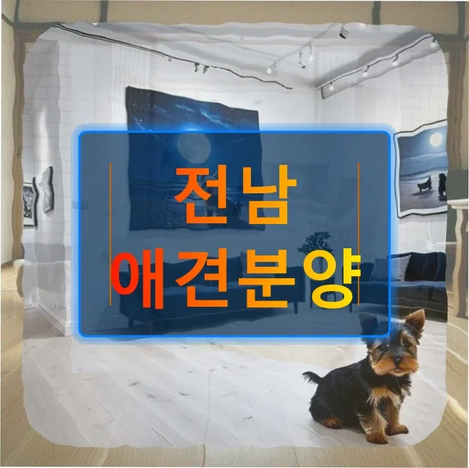 전남 포메라니안 입질 교정: 3개월 건강검진 후기 2026