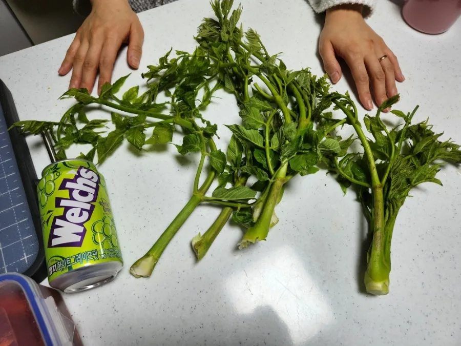 Korean Spring Delicacies: Types of Dureup Explained (2026)