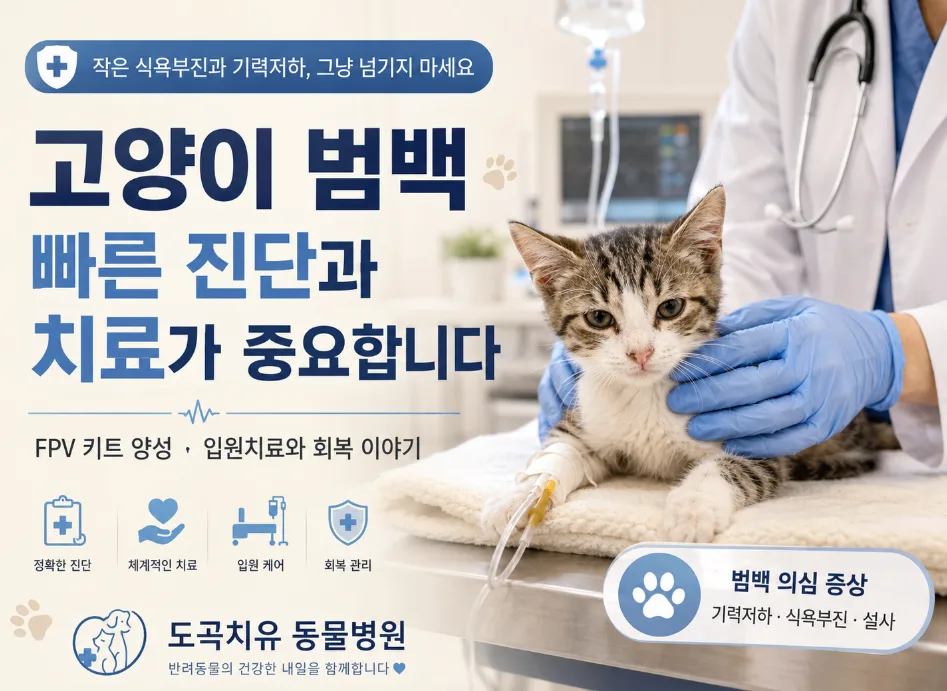 고양이 범백 증상과 치료, 키트 음성이라도 안심은 금물 2026