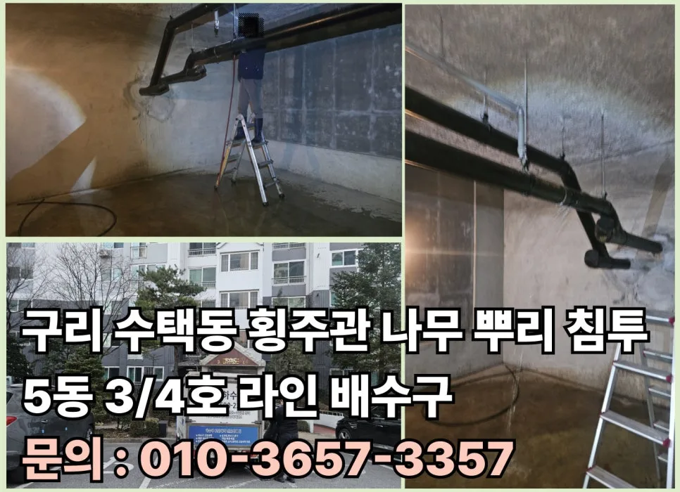 구리 수택동 아파트 횡주관 막힘, 나무 뿌리 침투 해결법 2026