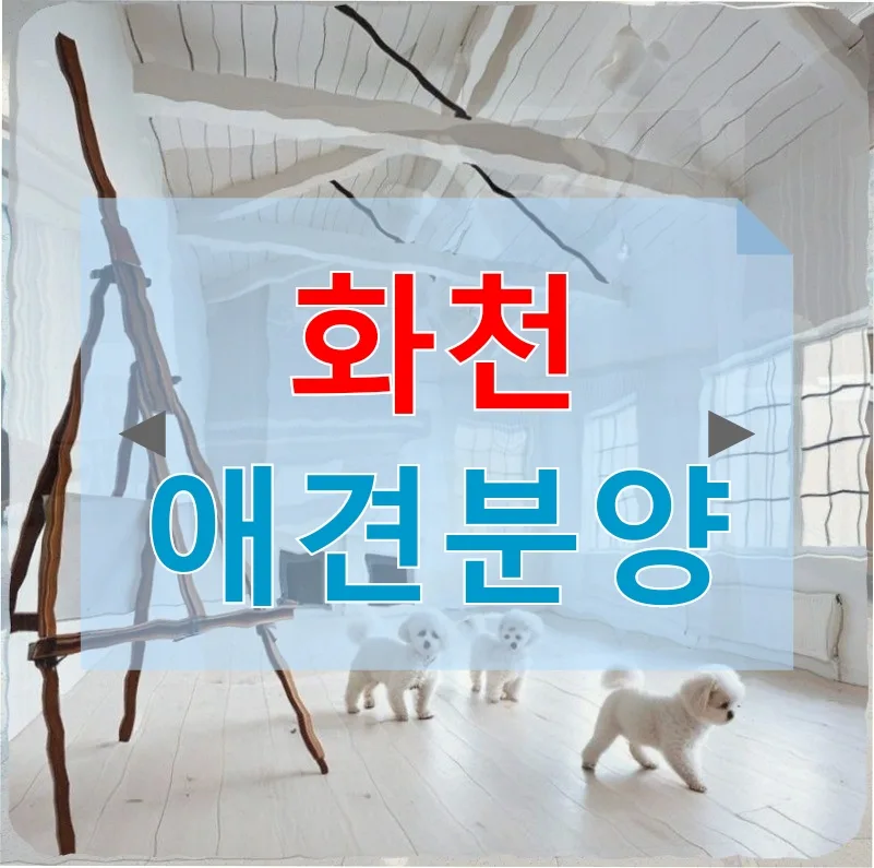 화천 반려견 분양 및 건강 관리 A to Z (2026년 최신 정보)