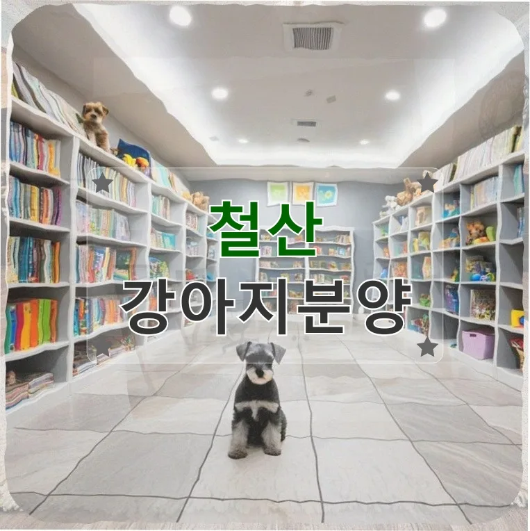 철산 강아지분양 현실 점검: 2026년 준비된 반려인 되기