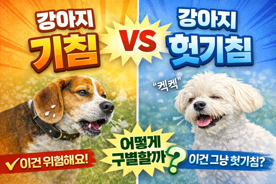 강아지 기침 vs 헛기침, 언제 병원 가야 할까? 2026년 총정리