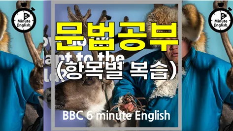 추위 적응 비결 2026: BBC 6분 영어 핵심 문법 총정리