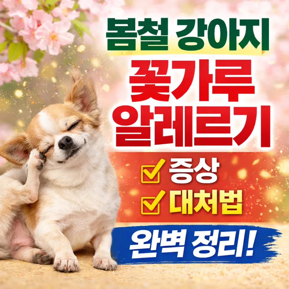 강아지 꽃가루 알레르기 증상과 관리법 2026년 총정리