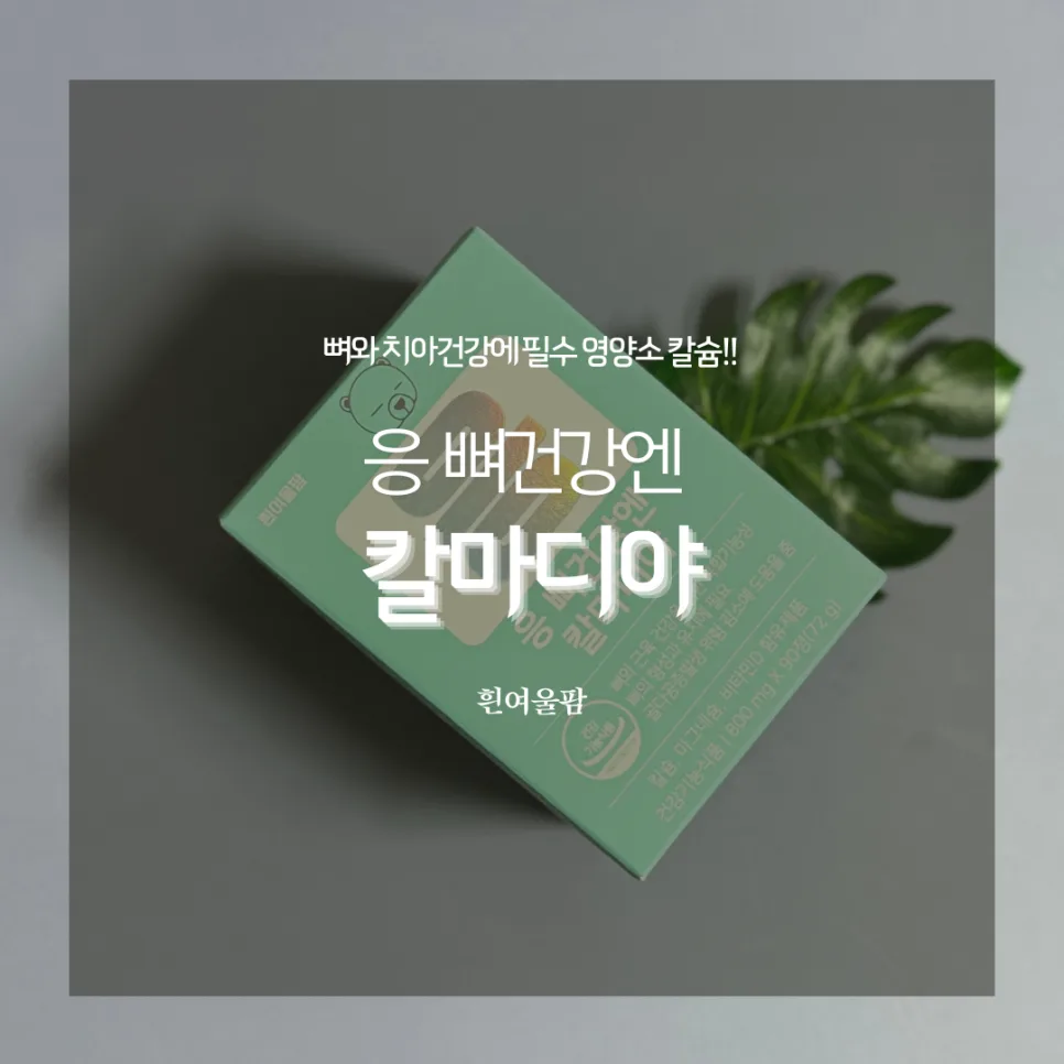온가족 뼈건강 칼슘 영양제 2026: 칼마디야 성분 비교
