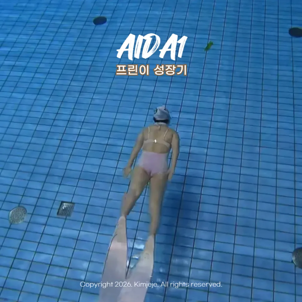 프리다이빙 AIDA1 자격증 취득 과정 및 후기 2026