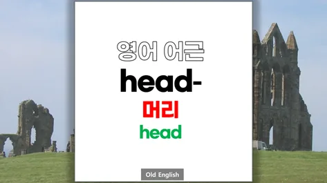 Master the English Root 'Head' in 2026: Etymology & Derivatives