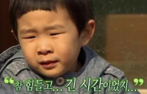 초등학생의 정치공학: 2013년 석암초 부회장 선거 승리 비결 2026 2