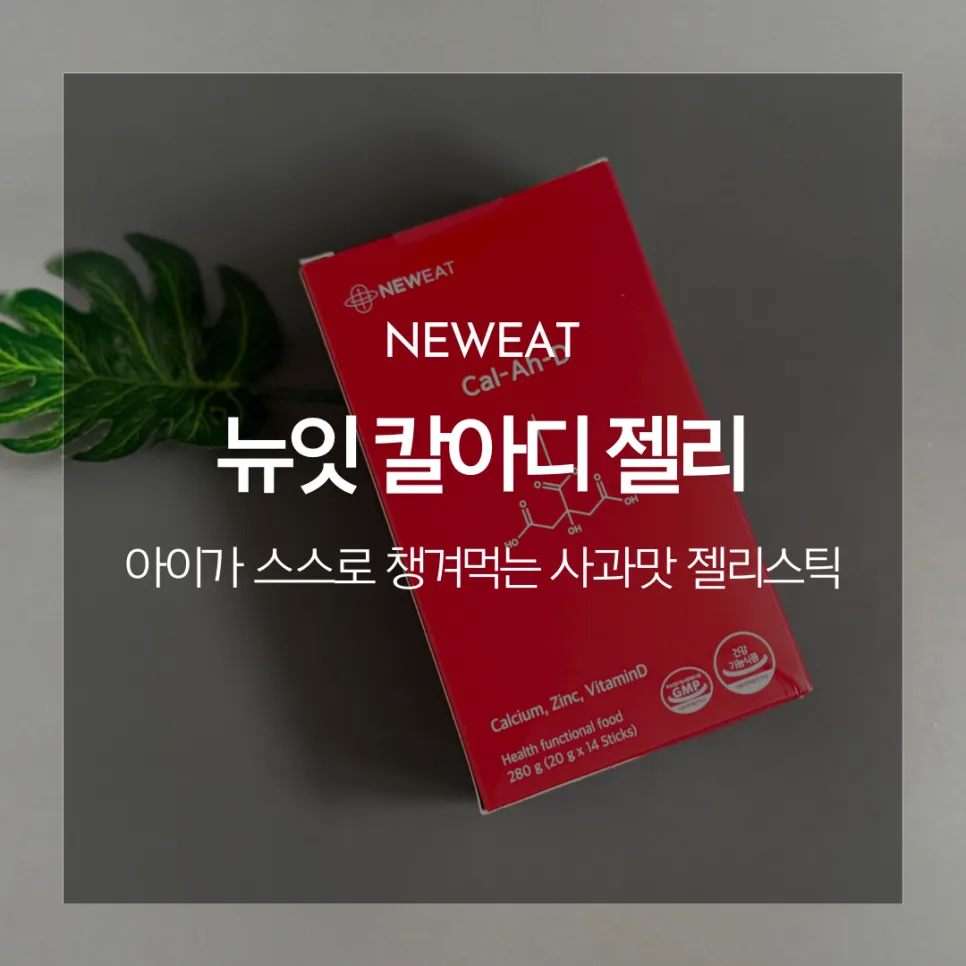 어린이 아연 비타민젤리 뉴잇 칼아디 2026년 성분 비교