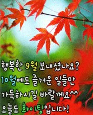 대전 태국어 1:1 강의, 아벨어학원 효과적인 학습법 2026 2