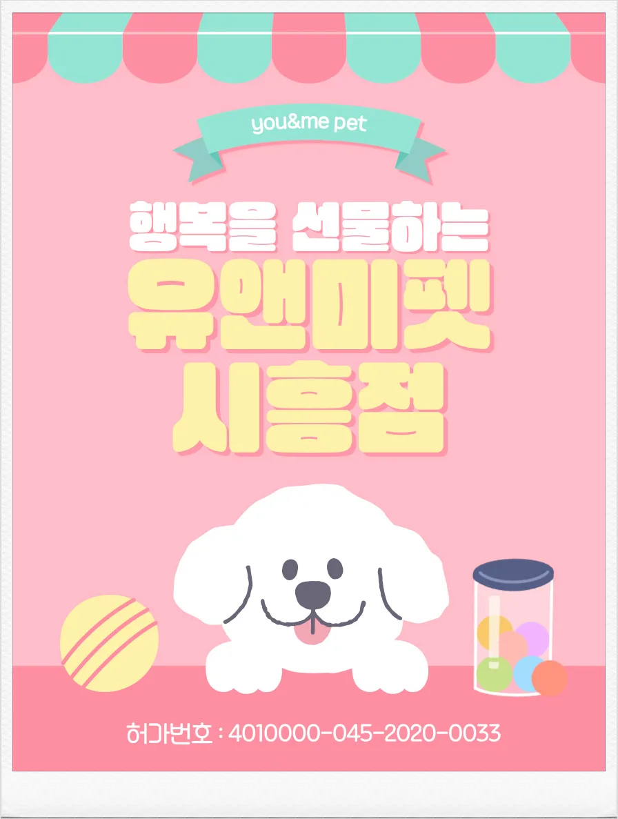 안양 비숑프리제 분양 2026: 유앤미펫 경험자 솔직 후기