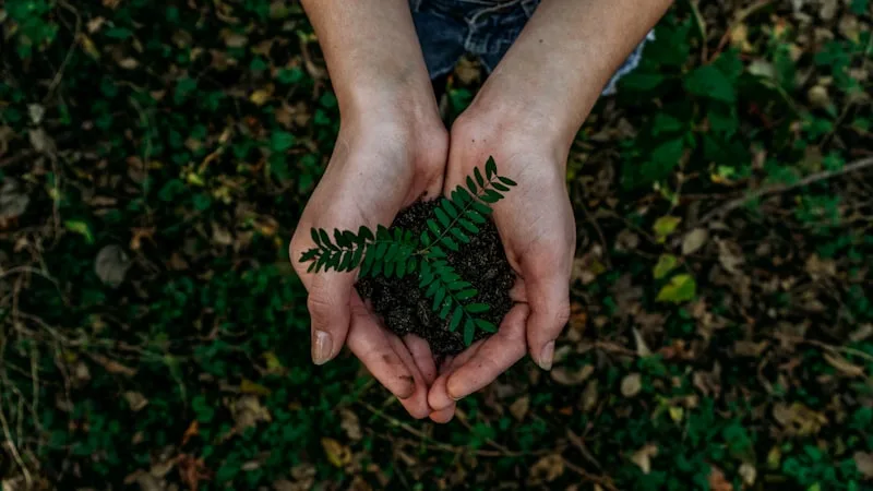 제로웨이스트 여행 친환경 제품 모음 - 텀블러, 에코백, 대나무 칫솔 등 - 출처: Unsplash
