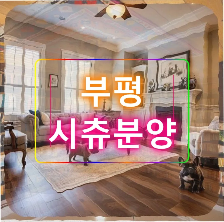 부평 시츄 분양 후기: 100만원으로 가족 맞이한 경험 2026