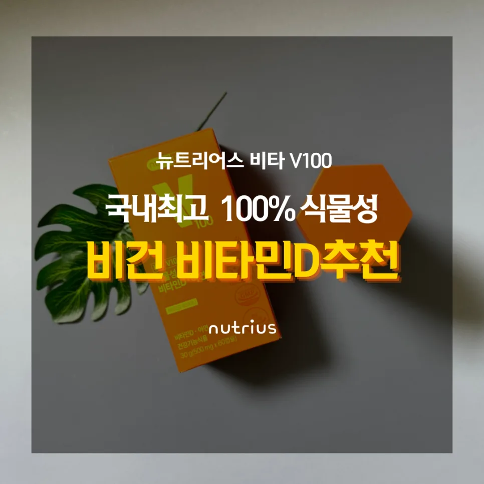 식물성 비타민D·아연 2026: 뉴트리어스 V100 효능 비교