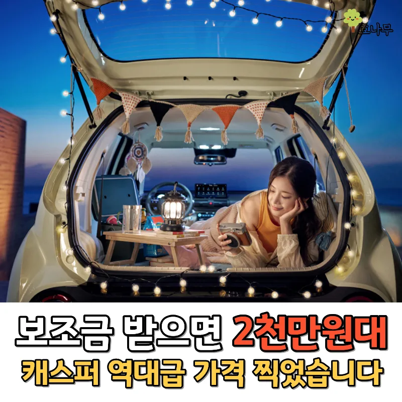 캐스퍼 일렉트릭, 서울시 보조금 적용 시 실구매가 2천만원대 가능할까? (2026년 전망)
