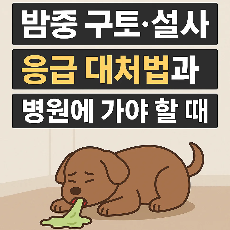 강아지 밤중 구토·설사, 2026년 응급 대처법과 병원 갈 때