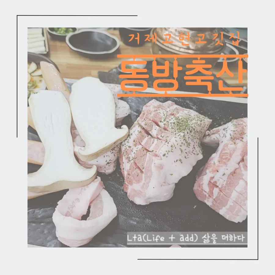 거제 고깃집 주차 꿀팁 & 동방축산 가성비 끝판왕 2026