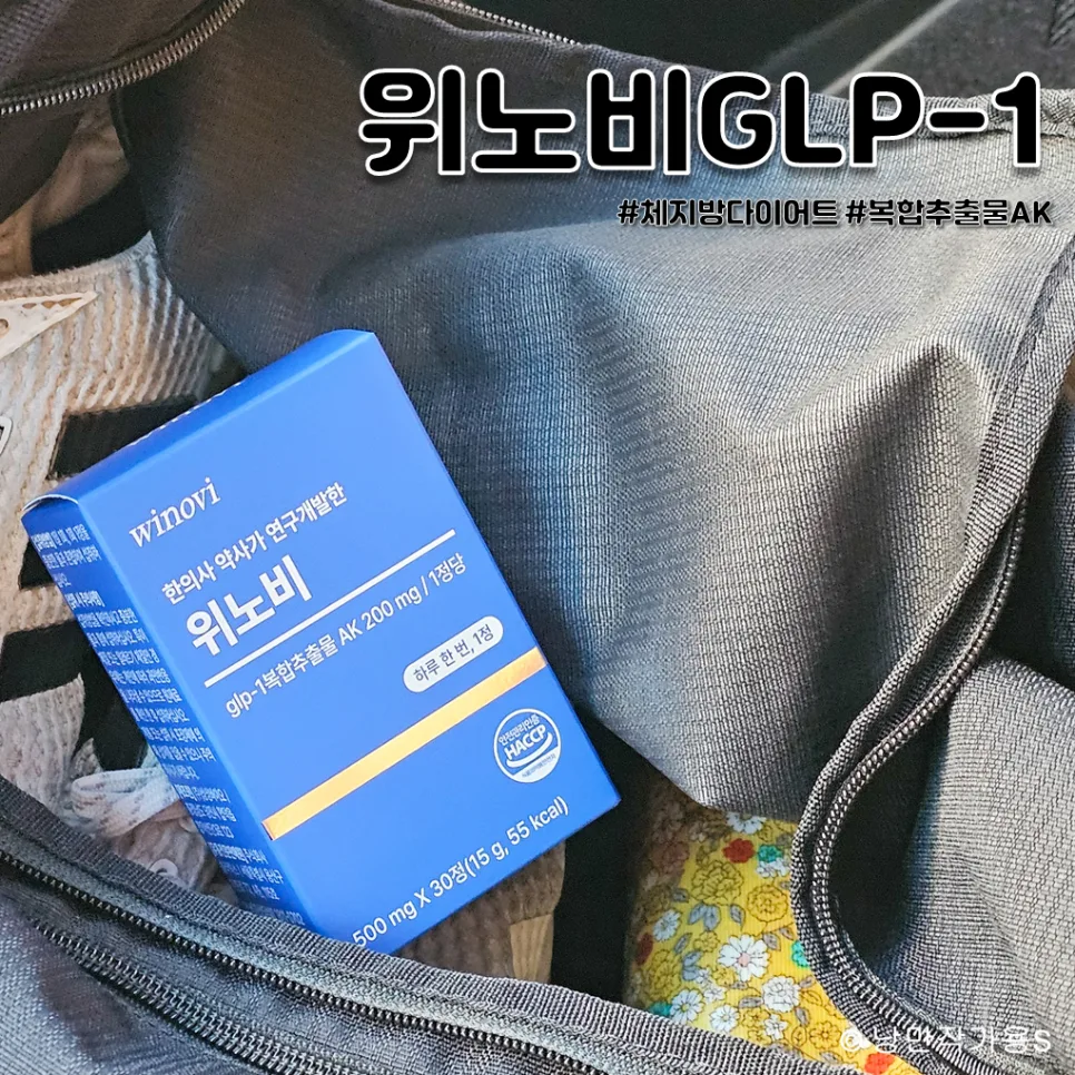 남자 체지방 다이어트, 위노비 GLP-1 효과 2026년 전망