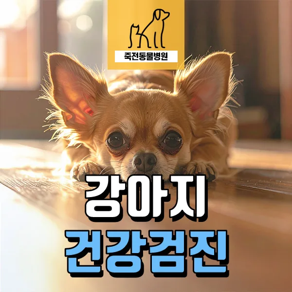 강아지 칼륨 수치 상승 원인과 부신피질기능저하증 진단 2026
