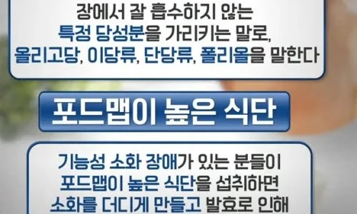 예민한 장 유산균 2026: 영롱 이스트 바이오틱스 센서티브 가루 vs 캡슐 비교