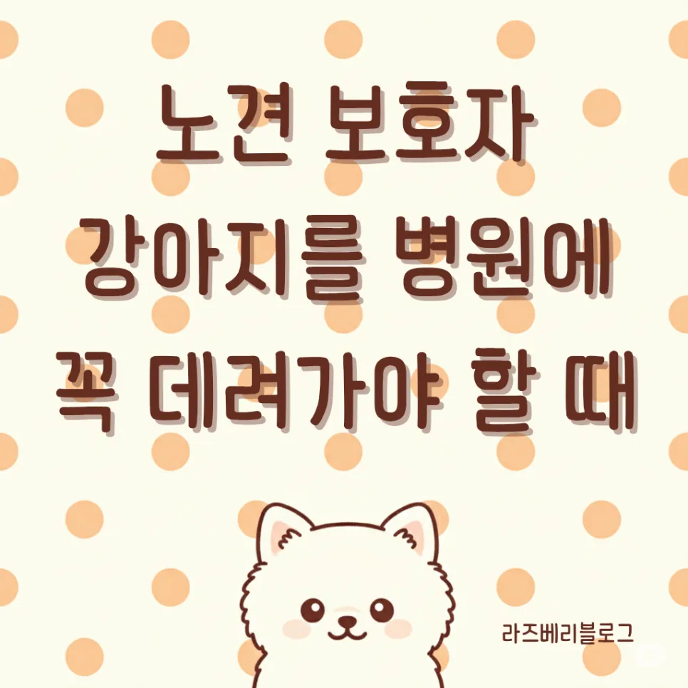 노견 건강 적신호 2026: 꼭 병원 가야 하는 7가지 증상 총정리