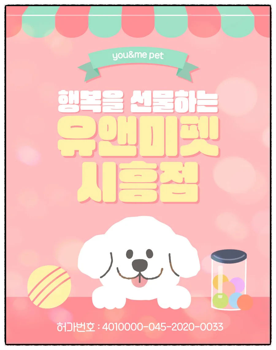 남양주 비숑 분양 2026: 유앤미펫 방문 후기 및 건강한 반려견 선택 가이드 — 반려동물 — dbdosalvpt
