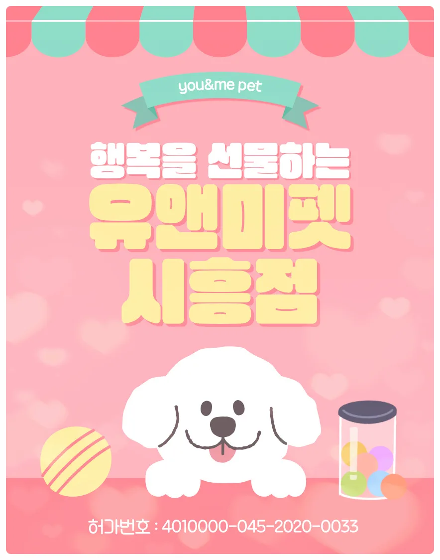 2026년 양주 비숑 분양, 유앤미펫 경험자 솔직 후기