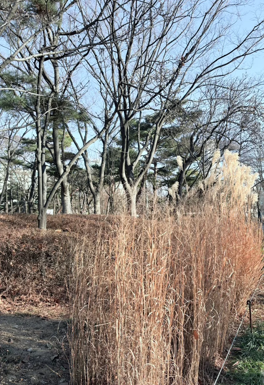 신경림 시 '그 겨울' 속 농촌 현실 분석 2026