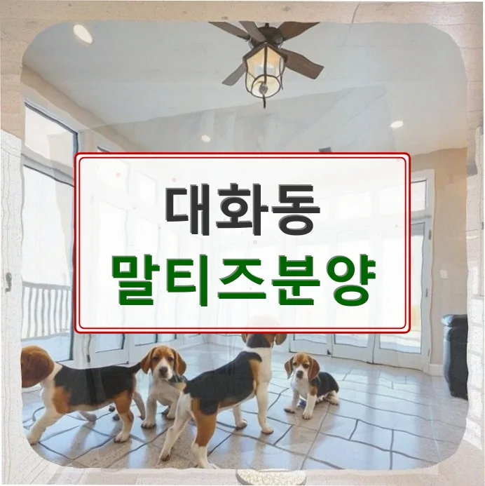 대화동 말티즈 분양 준비 2026: 반려견 건강 관리 노하우