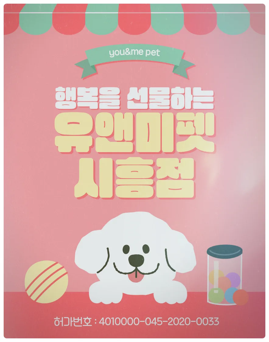 안성 말티즈 분양, 유앤미펫 방문 후기 및 선택 이유 2026