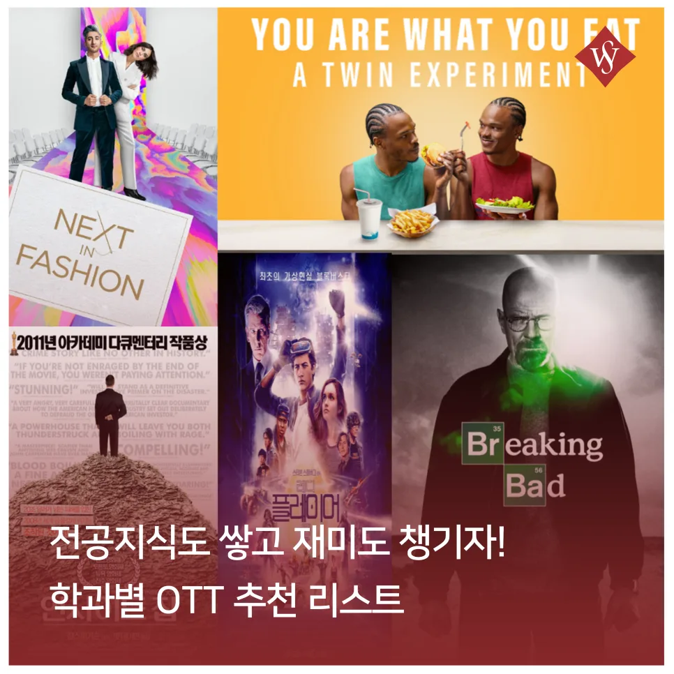 전공별 OTT 추천 리스트: 영화, 드라마, 다큐로 배우는 2026년 학습법