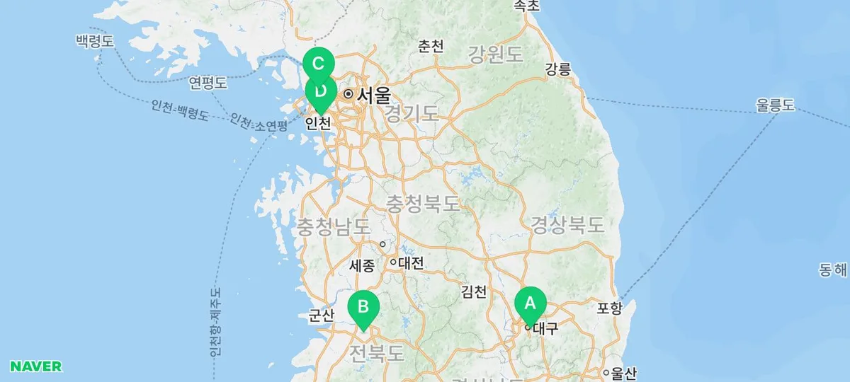 아메리칸 쇼트헤어 성격, 유전병, 비용 2026년 총정리