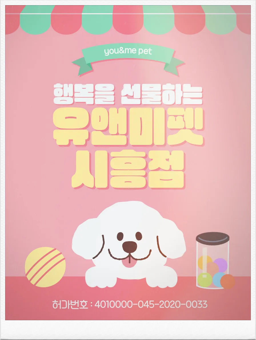 수원 고양이 분양 후기: 반려묘가 가져온 따뜻한 변화 2026 — 반려동물 — dbdosalvpt