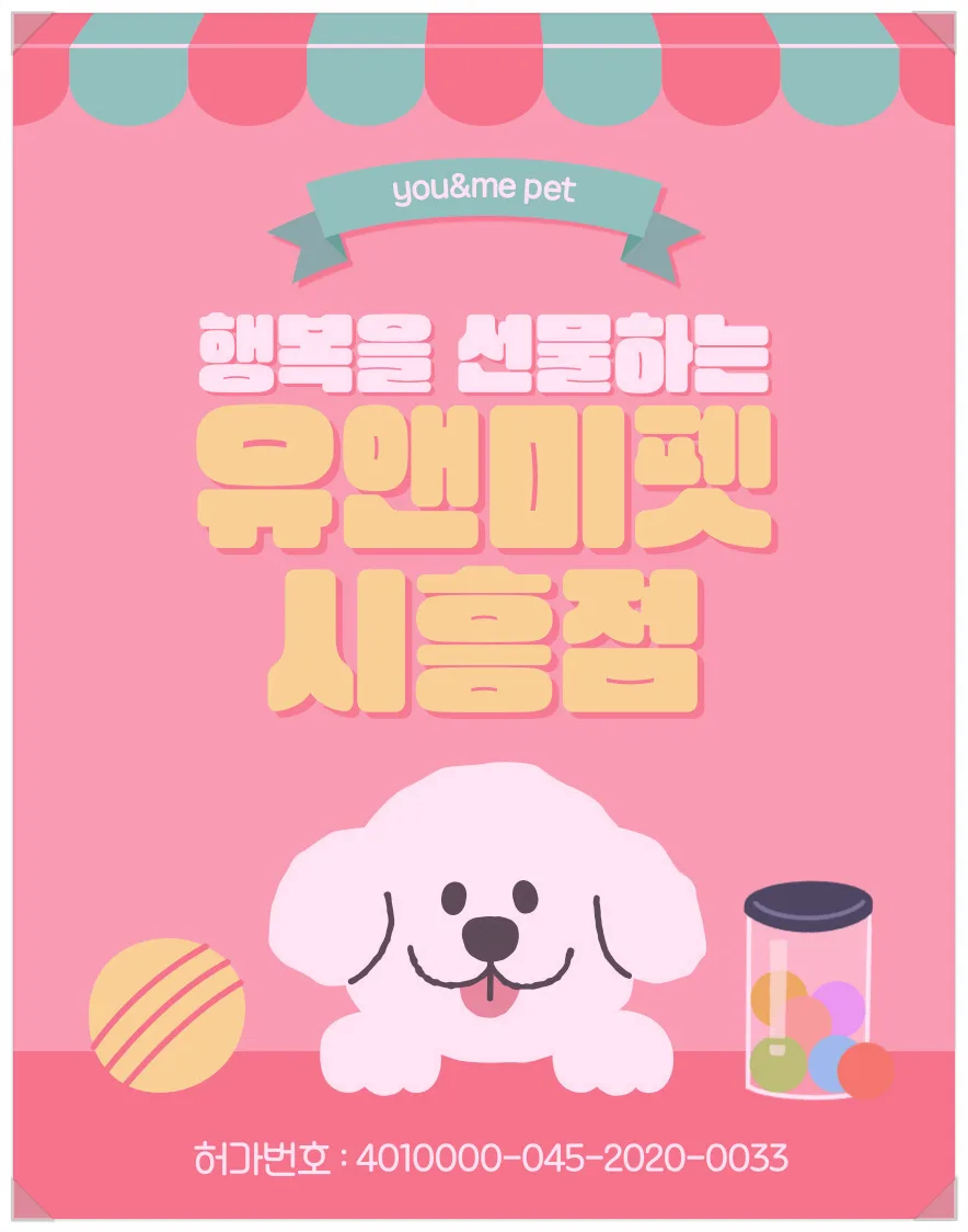 이천 요크셔테리어 분양 2026: 유앤미펫 방문 후기 및 입양 기준 총정리