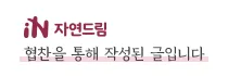 항암식품의 비밀: 이온미네랄 농법 효과 2026년 총정리