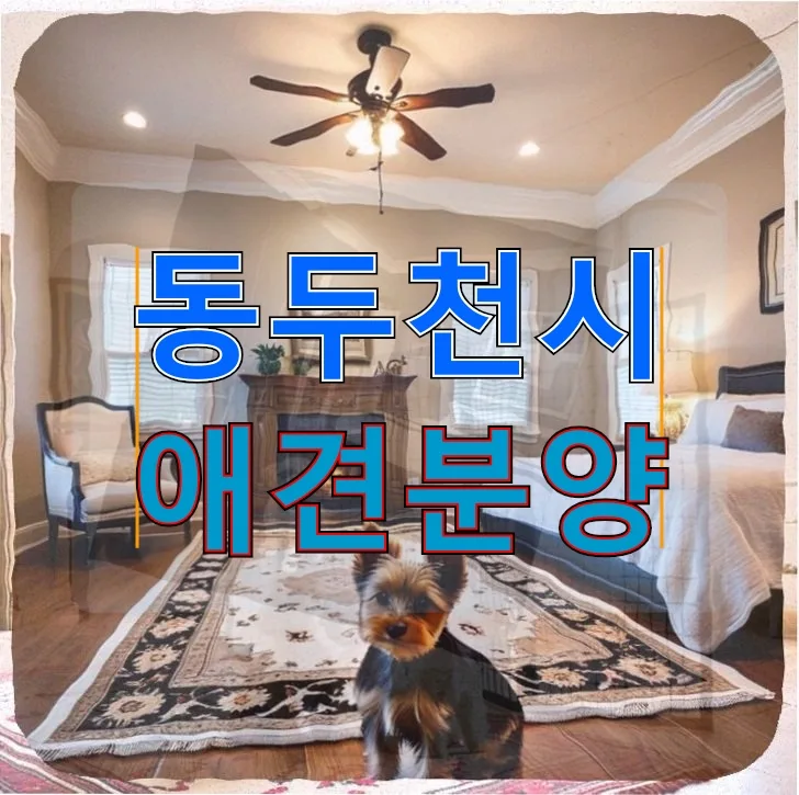 동두천 애견분양 2026: 새 가족 맞이 준비 완벽 가이드