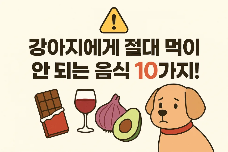 2026년 강아지 금지 음식 리스트: 치명적 위험성 총정리