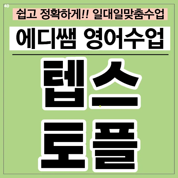 강북 영어 과외 2026: 텝스, 오픽, 대학원, 직장인 회화 완벽 대비