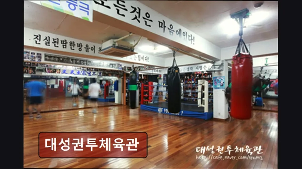 홍대 복싱 2026: 대성권투 체계적 지도와 열정 후기