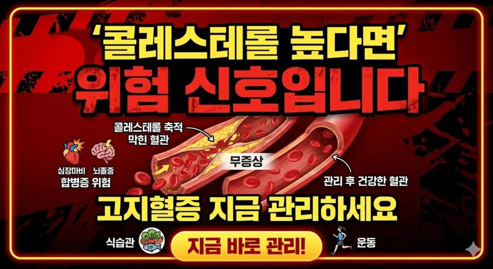 고지혈증 관리법 2026: 초기증상부터 보험까지 완벽 가이드