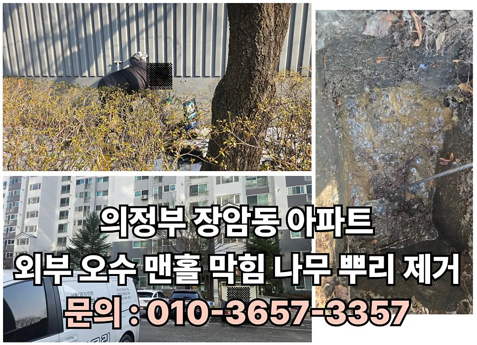 Fixing Clogged Apartment Sewer Lines: Tree Root Removal 2026