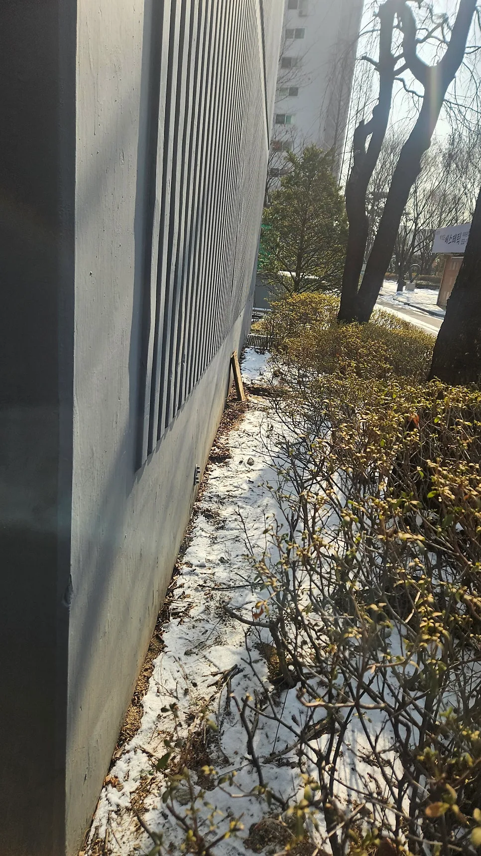 Fixing Clogged Apartment Sewer Lines: Tree Root Removal 2026 2