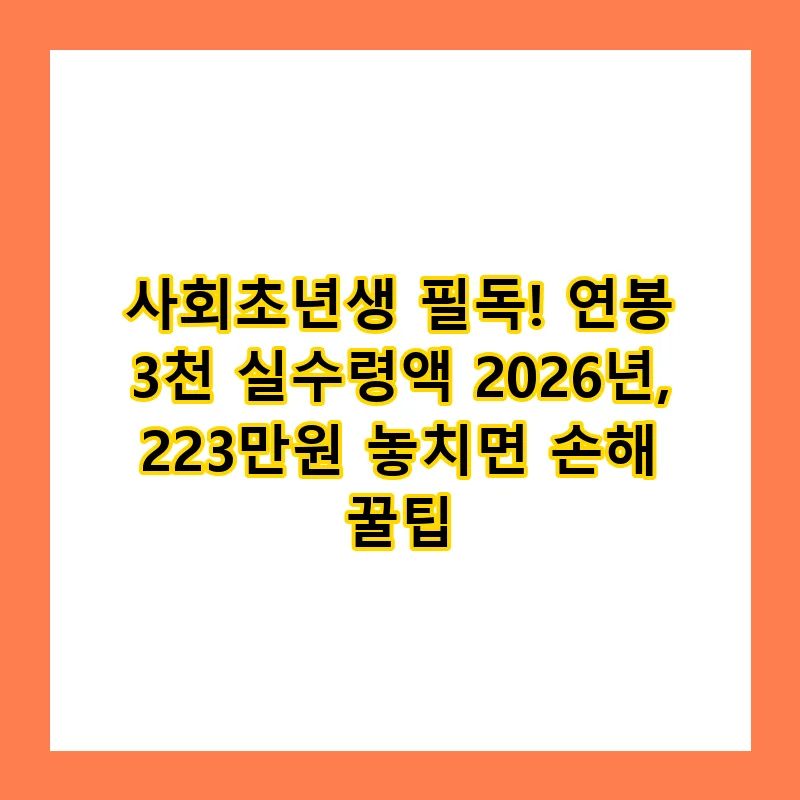 연봉 3천 실수령액 2026년, 223만원 외 추가 혜택 받는 법 — 비즈니스·경제 — smilestory84