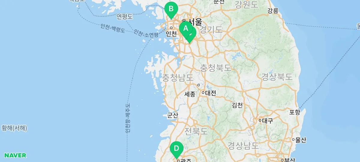 아메리칸숏헤어 분양가와 월 관리비 2026년 총정리
