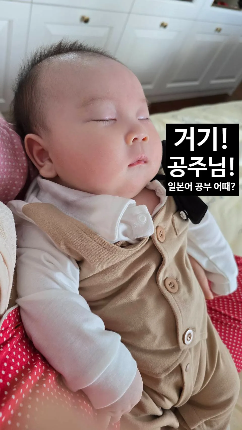 일본어 '줄이다' 뜻과 활용법 2026: 캠페인 단어 완벽 정리