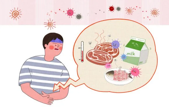 식중독 검사 및 치료 선택 가이드 2026: 증상별 원인균과 대처법