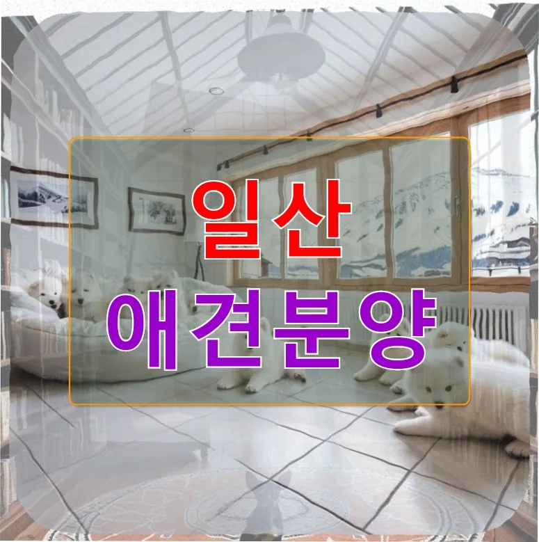말티숑 첫 산책 준비: 기생충 예방부터 필수 체크리스트 2026